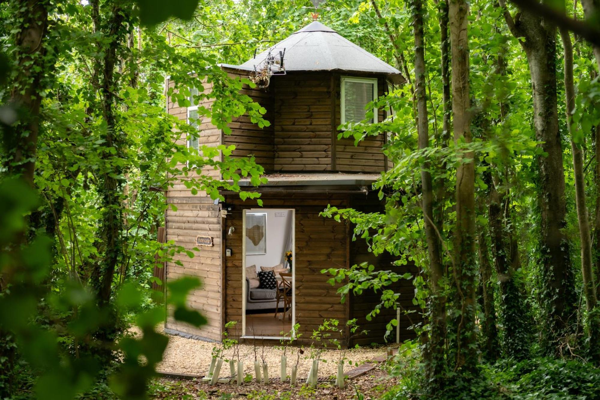 Вілла Honeycombe - Treehouse In The Heart Of Dorset Бландфорд-Форум Екстер'єр фото