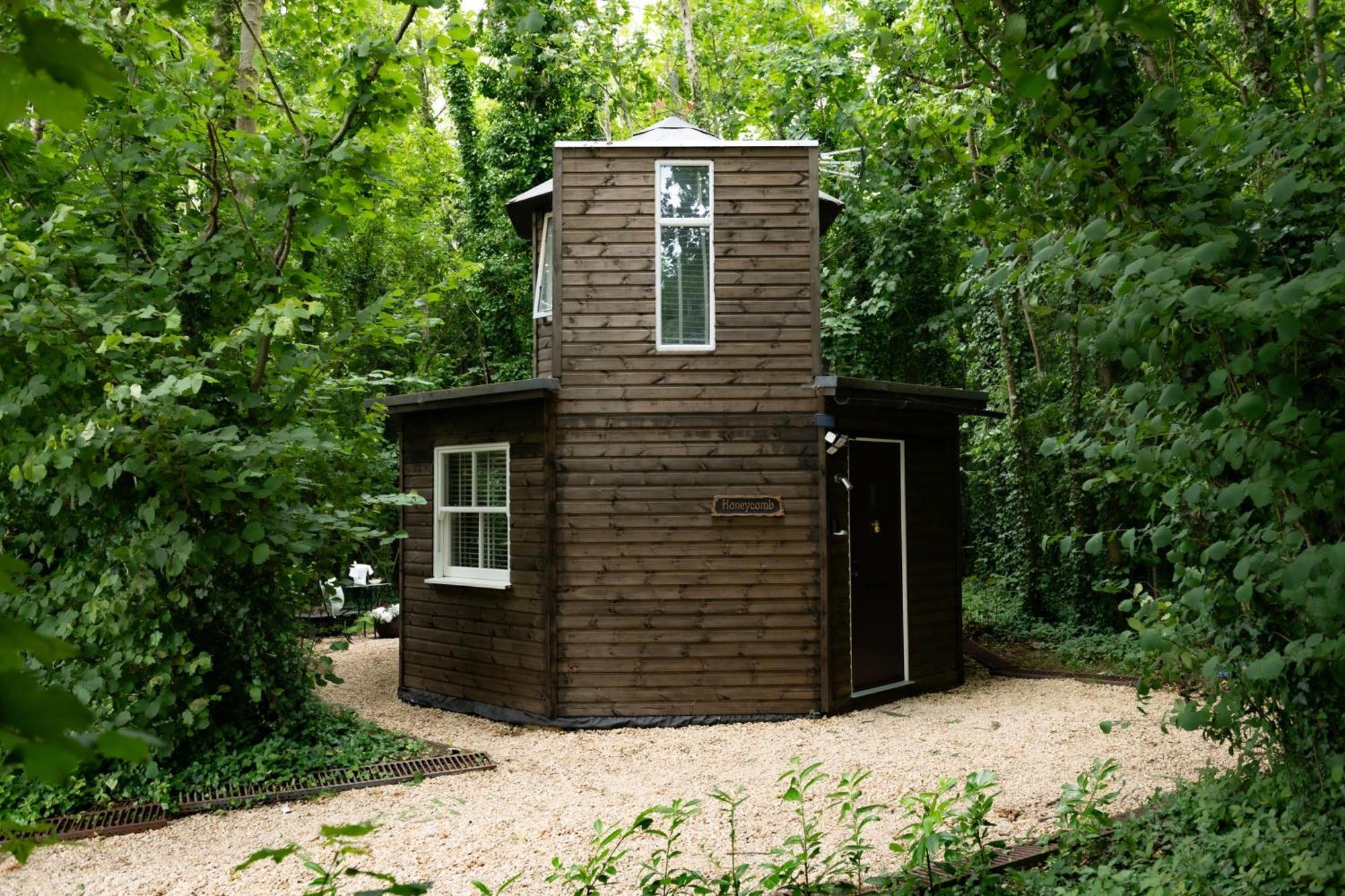 Вілла Honeycombe - Treehouse In The Heart Of Dorset Бландфорд-Форум Екстер'єр фото